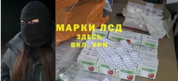 крисы Вязьма