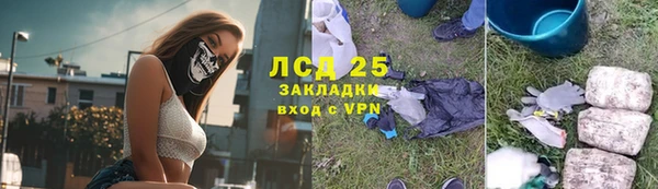 стаф Вяземский