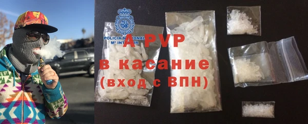 стаф Вяземский