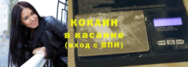 стаф Вяземский