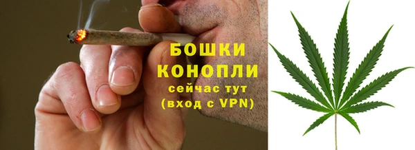 гидра Елизово