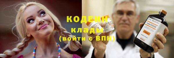 крисы Вязьма
