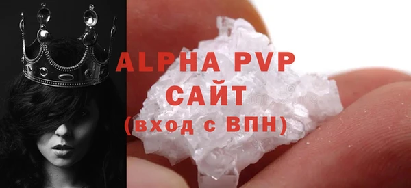 стаф Вяземский
