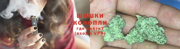 стаф Вяземский