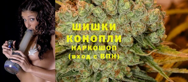 ПСИЛОЦИБИНОВЫЕ ГРИБЫ Елабуга