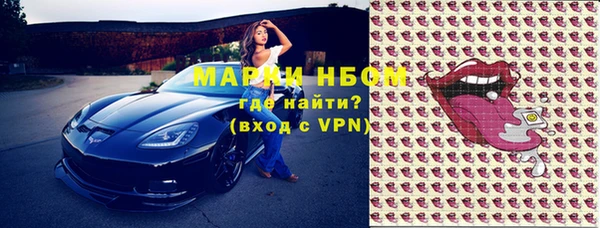 стаф Вяземский