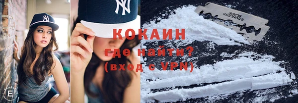 стаф Вяземский