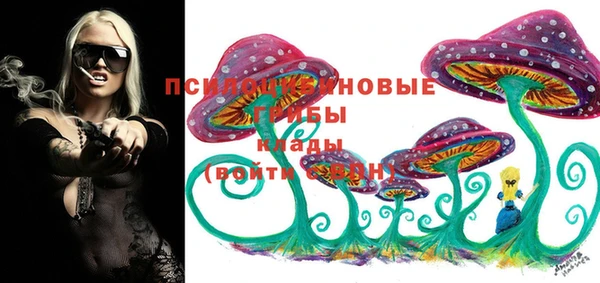 крисы Вязьма