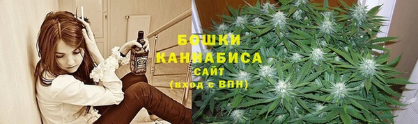 стаф Вяземский
