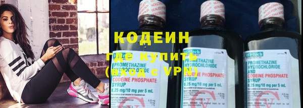 крисы Вязьма