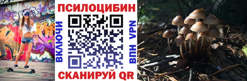 Псилоцибиновые грибы ЛСД  Грязовец 